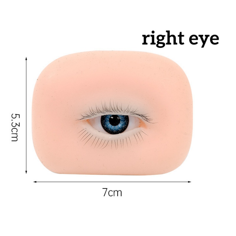 3D Eyelash Extension Academy S - Eyelash Extension Open Eye 评论和价格
