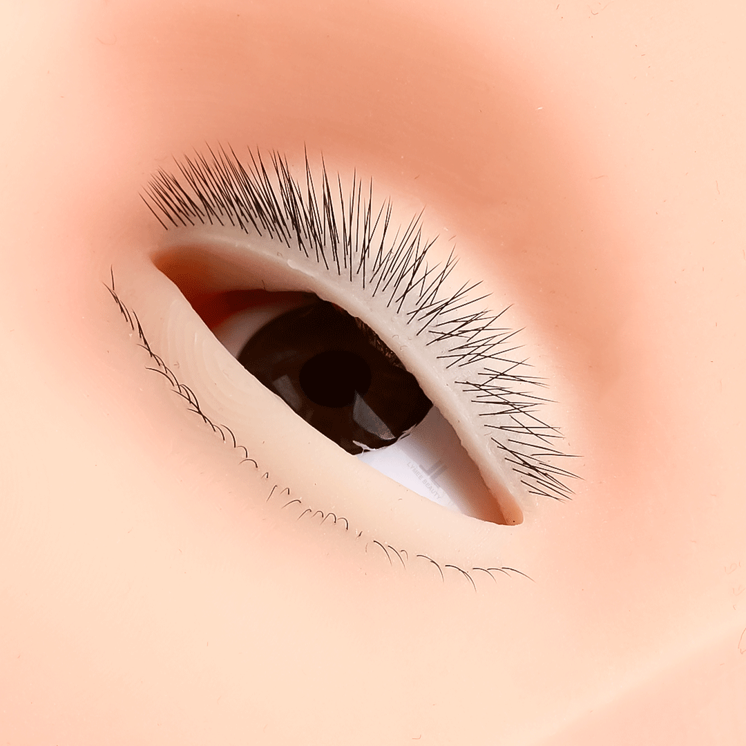 Hot 4-Layer Mini Mannequin for - Eyelash Extension Open Eye 评论和价格
